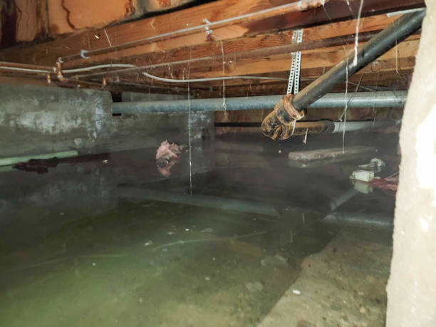 Professional Water damage restoration in Berwyn, PA